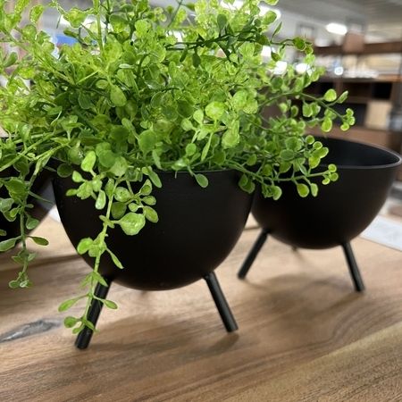 Schwarze metallische Blumentöpfe mit einer grünen Pflanze
