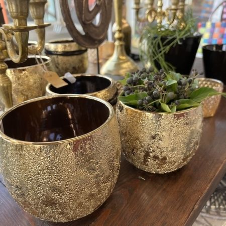 Goldene metallische Blumentöpfe mit einer grünen Pflanze